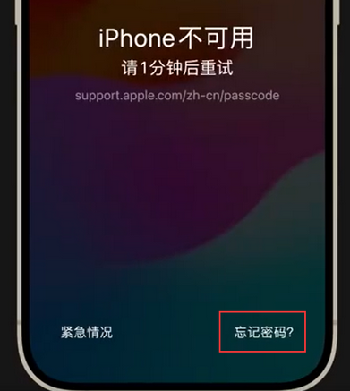 天等苹果手机密码维修分享iPhone忘记了刚设置的密码 